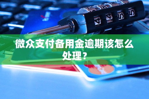 微众支付备用金逾期该怎么处理？