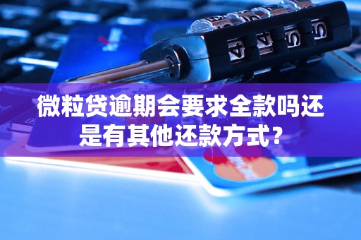 微粒贷逾期会要求全款吗还是有其他还款方式？