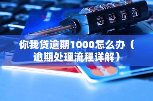 你我贷逾期1000怎么办（逾期处理流程详解）