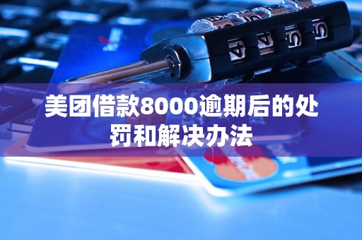 美团借款8000逾期后的处罚和解决办法