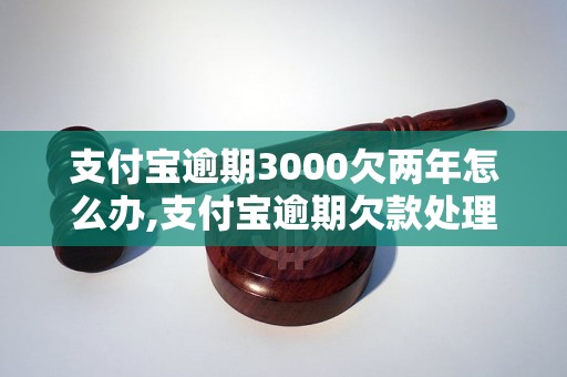 支付宝逾期3000欠两年怎么办,支付宝逾期欠款处理攻略