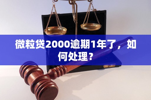 微粒贷2000逾期1年了，如何处理？