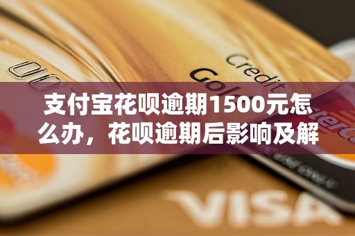 支付宝花呗逾期1500元怎么办，花呗逾期后影响及解决办法