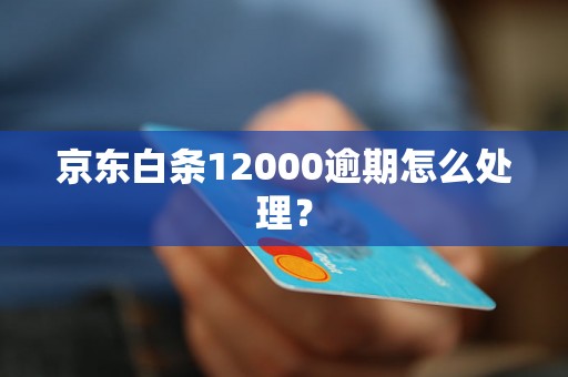 京东白条12000逾期怎么处理？