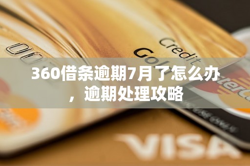 360借条逾期7月了怎么办，逾期处理攻略