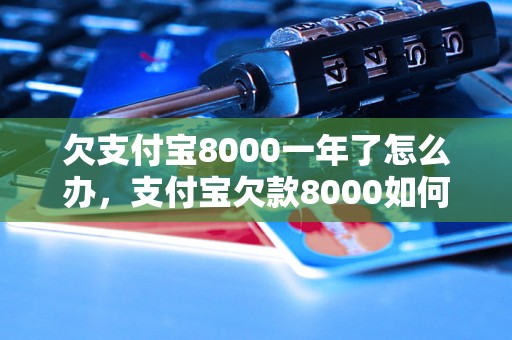 欠支付宝8000一年了怎么办，支付宝欠款8000如何解决