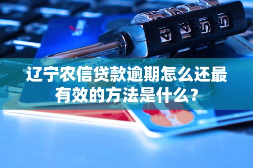 辽宁农信贷款逾期怎么还最有效的方法是什么？