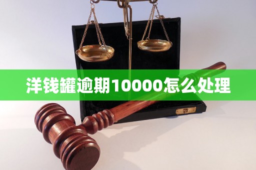 洋钱罐逾期10000怎么处理