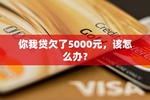 你我贷欠了5000元，该怎么办？