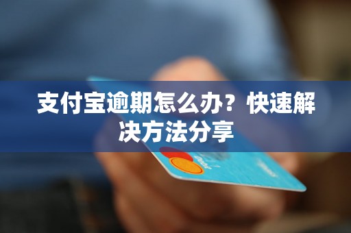 支付宝逾期怎么办？快速解决方法分享