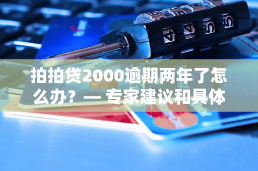 拍拍贷2000逾期两年了怎么办？— 专家建议和具体应对方法