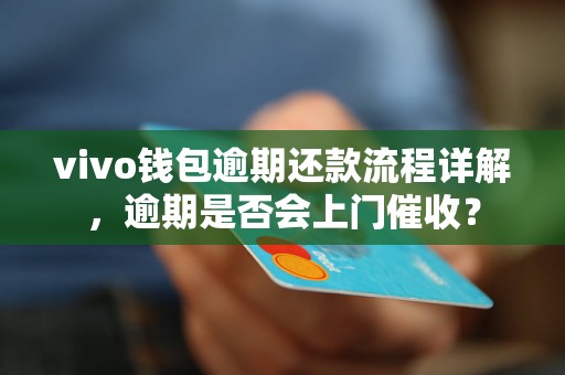 vivo钱包逾期还款流程详解，逾期是否会上门催收？