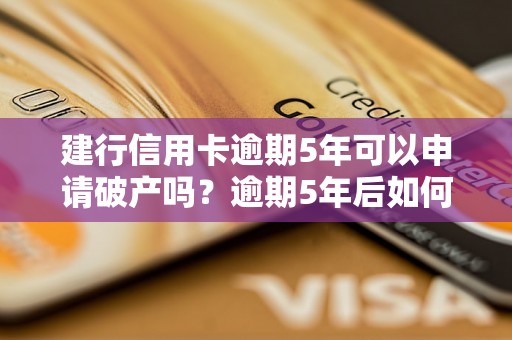 建行信用卡逾期5年可以申请破产吗？逾期5年后如何解决信用卡债务问题？