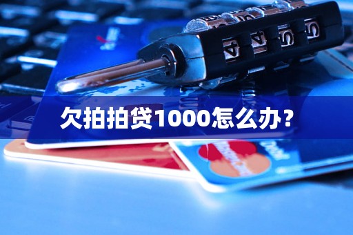 欠拍拍贷1000怎么办？