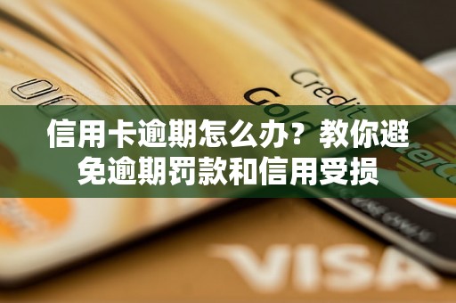 信用卡逾期怎么办？教你避免逾期罚款和信用受损