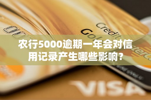 农行5000逾期一年会对信用记录产生哪些影响？