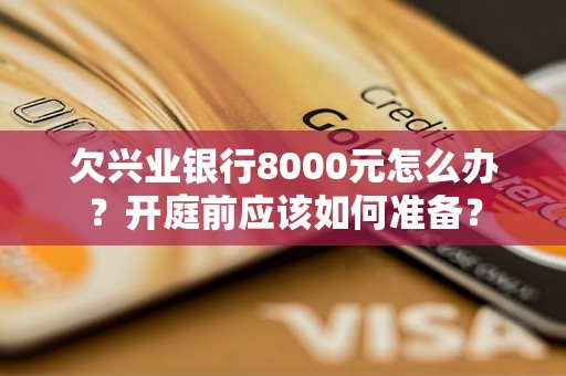 欠兴业银行8000元怎么办？开庭前应该如何准备？