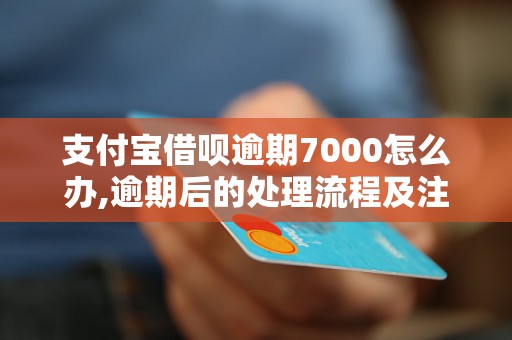 支付宝借呗逾期7000怎么办,逾期后的处理流程及注意事项