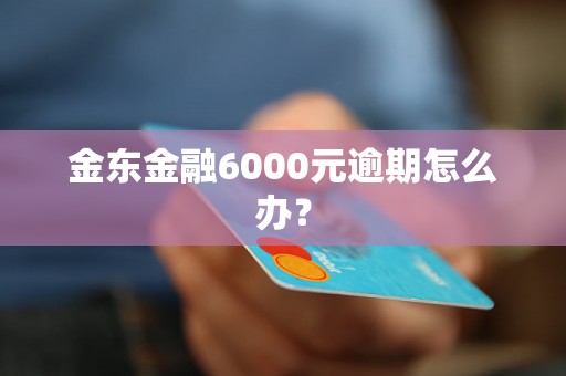 金东金融6000元逾期怎么办？