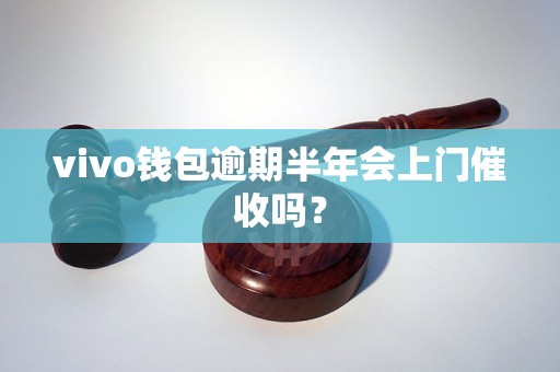 vivo钱包逾期半年会上门催收吗？