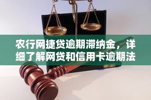 农行网捷贷逾期滞纳金，详细了解网贷和信用卡逾期法律后果