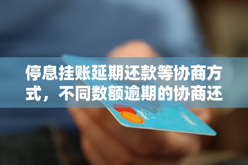 停息挂账延期还款等协商方式，不同数额逾期的协商还款经验分享