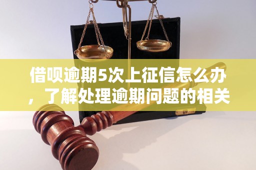 借呗逾期5次上征信怎么办，了解处理逾期问题的相关流程和方法