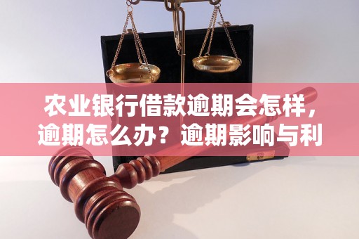 农业银行借款逾期会怎样，逾期怎么办？逾期影响与利息了解！