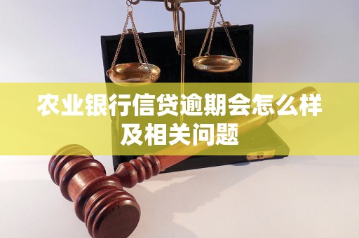 农业银行信贷逾期会怎么样及相关问题