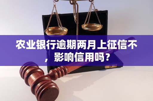 农业银行逾期两月上征信不，影响信用吗？