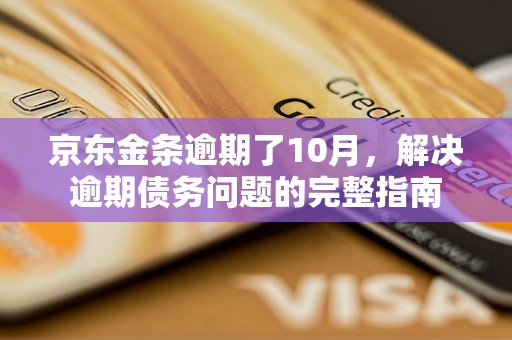 京东金条逾期了10月，解决逾期债务问题的完整指南