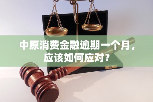 中原消费金融逾期一个月，应该如何应对？