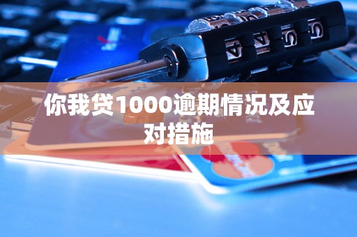 你我贷1000逾期情况及应对措施