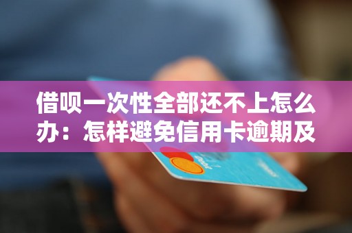 借呗一次性全部还不上怎么办：怎样避免信用卡逾期及解决逾期问题