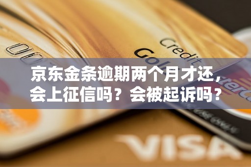 京东金条逾期两个月才还，会上征信吗？会被起诉吗？