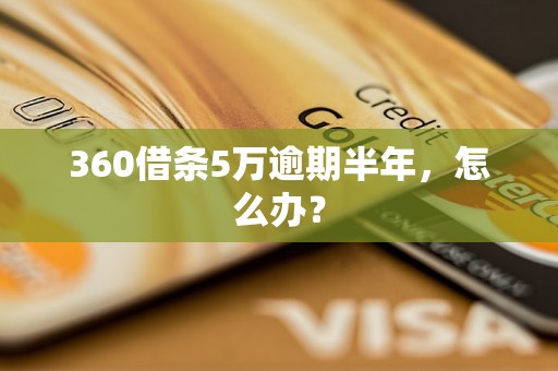 360借条5万逾期半年，怎么办？