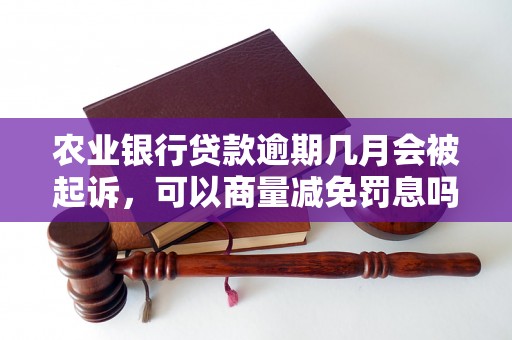 农业银行贷款逾期几月会被起诉，可以商量减免罚息吗？