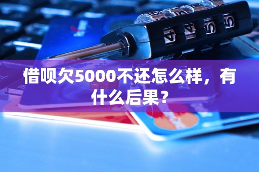 借呗欠5000不还怎么样，有什么后果？