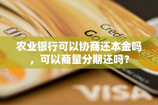 农业银行可以协商还本金吗，可以商量分期还吗？