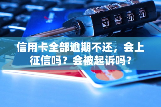 信用卡全部逾期不还，会上征信吗？会被起诉吗？