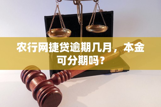 农行网捷贷逾期几月，本金可分期吗？