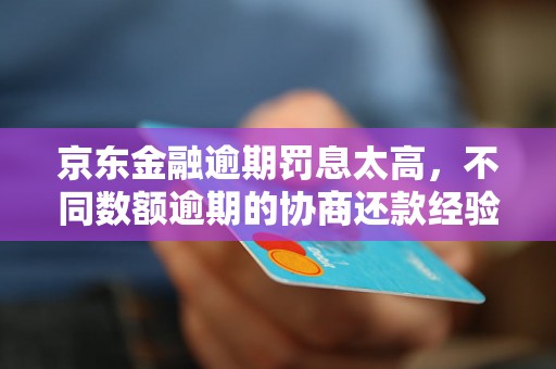 京东金融逾期罚息太高，不同数额逾期的协商还款经验分享