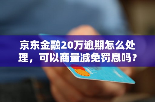 京东金融20万逾期怎么处理，可以商量减免罚息吗？