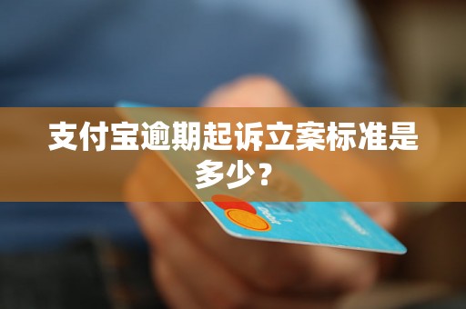 支付宝逾期起诉立案标准是多少？