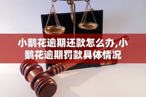 小鹅花逾期还款怎么办,小鹅花逾期罚款具体情况