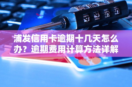 浦发信用卡逾期十几天怎么办？逾期费用计算方法详解