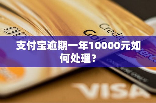 支付宝逾期一年10000元如何处理？