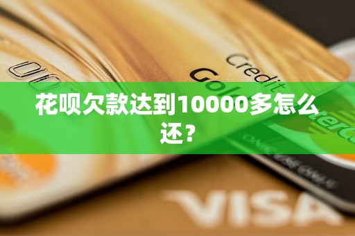 花呗欠款达到10000多怎么还？