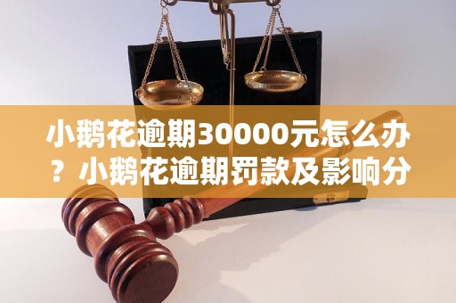 小鹅花逾期30000元怎么办？小鹅花逾期罚款及影响分析