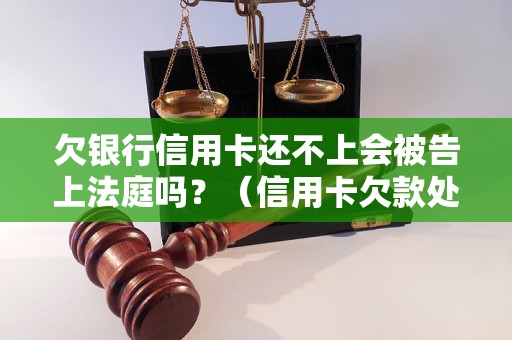 欠银行信用卡还不上会被告上法庭吗？（信用卡欠款处理办法详解）